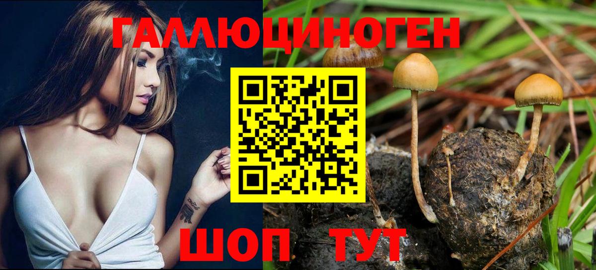 Бошки Шишки  Сыктывкар  Купить наркотики цена  Мефедрон   МДМА  COCAIN  ГАШИШ  Экстази  Гашиш  Вход с VPN 